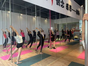 勁爆好消息！胡楊舞蹈周年特惠，僅198元體驗舞蹈魅力！